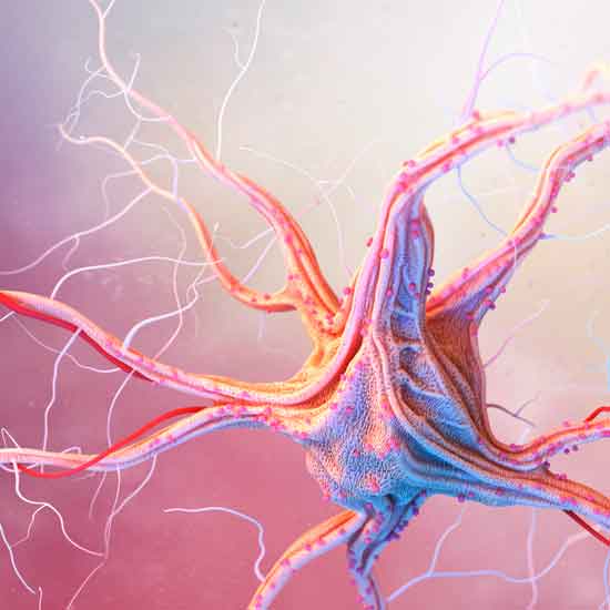 Tipos de lesiones neurológicas de la mano y patologías más frecuentes